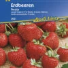 Erdbeere Fresca | Erdbeersamen Von Kiepenkerl -Mohnsams Geschaft 3495 Erdbeere Fresca