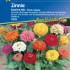 Zinnie Musica | Zinniensamen Von Kiepenkerl -Mohnsams Geschaft 3562 Zinnie Musica 3929 0