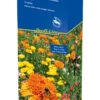 Blütenteppich (40 G) | Blumensamenmischung Von Kiepenkerl [MHD 12/2023] -Mohnsams Geschaft 528696 Bluetenteppich 40 g 4935 0