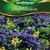 Duftblumen Schokolade Mit Sahne | Blumensamenmischung Von Quedlinburger -Mohnsams Geschaft 532106 Duftblumen Schokolade mit Sahn von Quedlinb