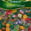 Sommerabend Mischung | Sonnenblumensamen Von Quedlinburger -Mohnsams Geschaft 532169 Sommerabend Mischung von Quedlinburger Saat