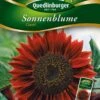 Sonnenblumen Claret | Sonnenblumensamen Von Quedlinburger -Mohnsams Geschaft 532177 Sonnenblumen Claret von Quedlinburger Saatg
