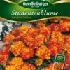 Studentenblumen Bonanza Bolero | Studentenblumensamen Von Quedlinburger 2 Studentenblumen Bonanza Bolero | Studentenblumensamen Von Quedlinburger -Mohnsams Geschaft 532193 Studentenblumen Bonanza Bolero von Quedlinb