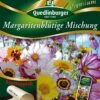 Margeritenblütige Mischung | Margeritensamen Von Quedlinburger 2 Margeritenblütige Mischung | Margeritensamen Von Quedlinburger -Mohnsams Geschaft 532269 Margeritenbluetige Mischung von Quedlinburg