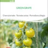 Cherrytomate Green Grape | BIO Kirschtomatensamenvon Sativa Rheinau -Mohnsams Geschaft 534563 BIO Cherrytomate Green Grape to18 sr 0