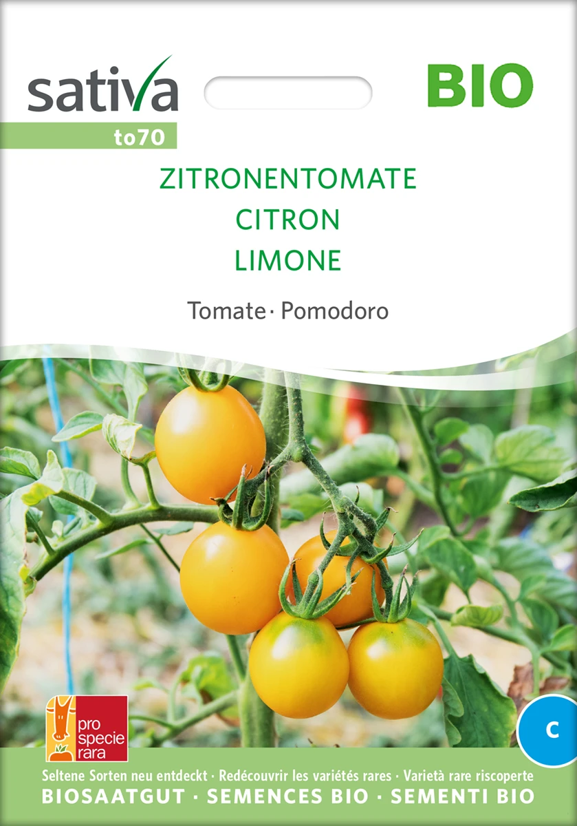 Tomate Zitronentomate | BIO Tomatensamen Von Sativa Rheinau 4 Tomate Zitronentomate | BIO Tomatensamen Von Sativa Rheinau – Bild 2