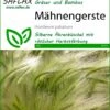 Mähnengerste | Gräsersamen Von Saflax -Mohnsams Geschaft 535602 Maehnengerste 13311 sa 0