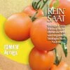 Salattomate Auriga | BIO Kirschtomatensamen Von Reinsaat -Mohnsams Geschaft 535855 BIO Salattomate Auriga CV38 rs 0