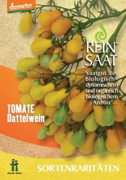 Cocktailtomate Dattelwein | BIO Kirschtomatensamen Von Reinsaat