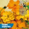 Cosmea Orange | BIO Cosmeasamen Von Reinsaat -Mohnsams Geschaft 535932 BIO Cosmea orange B22 rs 0