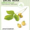 Monatserdbeere Fraise Des Bois | BIO Erdbeerensamen Von Arche Noah -Mohnsams Geschaft 536976 Monatserdbeere Fraise des Bois