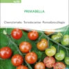 Cherrytomate Primabella | BIO Kirschtomatensamen Von Sativa Rheinau -Mohnsams Geschaft 537129 BIO Cherrytomate Primabella to30 sr 0