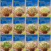 BIO Keimsprossen Sortiment Mit 12 Sorten | Keimsprossen Von Kiepenkerl -Mohnsams Geschaft 539847 BIO Keimsprossen Sortiment mit 12 Sorten 5324 0