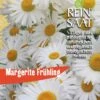 Margerite Frühling | BIO Margeritensamen Von Reinsaat 2 Margerite Frühling | BIO Margeritensamen Von Reinsaat -Mohnsams Geschaft 540556 BIO Margerite Fruehling B91 rs 0