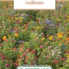 Blumenwiese Feldblumenmischung (100 G) | Blumensamen Von Bertrand -Mohnsams Geschaft 540950 Blumenwiese Landblumen 100 g