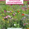Blumenwiese Langanhaltende Sommermischung (100 G) | Blumensamen Von Bertrand 1 Blumenwiese Langanhaltende Sommermischung (100 G) | Blumensamen Von Bertrand -Mohnsams Geschaft 540957 Blumenwiese Sommermischung Rasch und Langbluehend 100 g