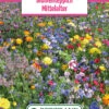 Blumenwiese Blumenteppich Mittelalter (100 G) | Blumensamen Von Bertrand -Mohnsams Geschaft 540965 Blumenwiese Blumenteppich Mittelalter 100 g