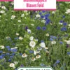 Blumenwiese Blumenteppich Blaues Feld (100 G) | Blumensamen Von Bertrand 1 Blumenwiese Blumenteppich Blaues Feld (100 G) | Blumensamen Von Bertrand -Mohnsams Geschaft 540968 Blumenwiese Blumenteppich Blaues Feld 100 g