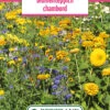 Blumenwiese Blumenteppich Chambord (100 G) | Blumensamen Von Bertrand -Mohnsams Geschaft 540970 Blumenwiese Blumenteppich Chambord 100 g