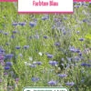 Blumenwiese Farbton Blau (100 G) | Blumensamen Von Bertrand -Mohnsams Geschaft 540980 Blumenwiese Farbton Blau 100 g