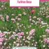 Blumenwiese Farbton Rosa (100 G) | Blumensamen Von Bertrand -Mohnsams Geschaft 540985 Blumenwiese Farbton Rosa 100 g