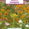 Blumenwiese Feuchtgebiet (Rückhaltebecken) (100 G) | Blumensamen Von Bertrand -Mohnsams Geschaft 540998 Blumenwiese Feuchtgebiet 100 g