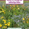 Blumenwiese Blumen Für Steinige Und Kalkhaltige Böden (100 G) | Blumensamen Von Bertrand -Mohnsams Geschaft 540999 Blumenwiese Blumen fuer steinige und kalkhaltige Boeden 100 g