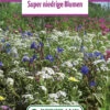 Blumenwiese Zwergenmischung (100 G) | Blumensamen Von Bertrand -Mohnsams Geschaft 541002 Blumenwiese Super Niedrige Blumen 100 g