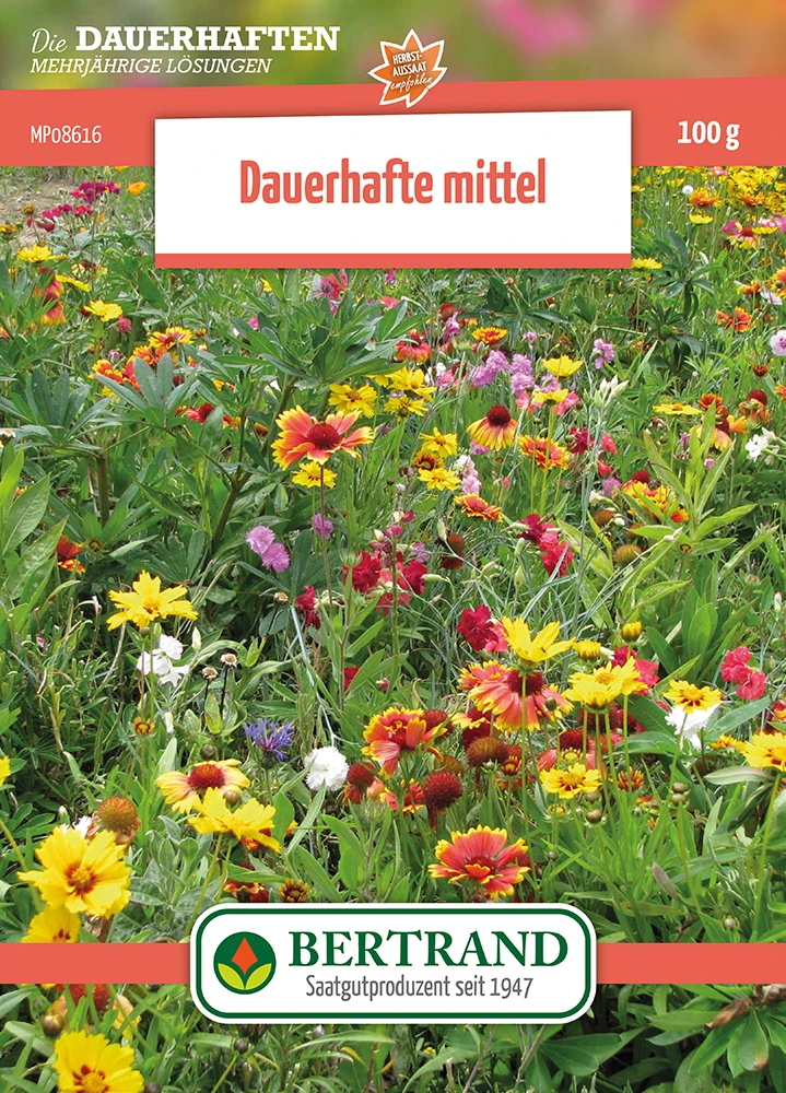 Blumenwiese Mehrjährige Halbhohe Stauden (100 G) | Blumensamen Von Bertrand 3 Blumenwiese Mehrjährige Halbhohe Stauden (100 G) | Blumensamen Von Bertrand