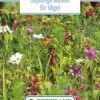 Blumenwiese Einjährige Blumen Für Vögel (100 G) | Blumensamen Von Bertrand -Mohnsams Geschaft 541008 Blumenwiese Einjaehrige Blumen fuer Voegel 100 g