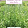 Blumenwiese Schmetterlingswiese (100 G) | Blumensamen Von Bertrand -Mohnsams Geschaft 541023 Blumenwiese Blumen aus der Natur Schmetterling 100 g