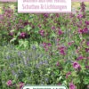 Blumenwiese Staudenmischung Für Schatten &amp; Lichtungen (100 G) | Blumensamen Von Bertrand -Mohnsams Geschaft 541025 Blumenwiese Blumen aus der Natur Schatten und Lichtungen 100 g