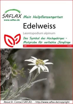 Edelweiss | Wildblumensamen Von Saflax -Mohnsams Geschaft 543584 Edelweiss 15226 sa 0