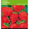 Erdbeeren Grandian F1 | Erdbeersamen Von Buzzy Seeds -Mohnsams Geschaft 544687 Buzzy Erdbeeren Grandian F1