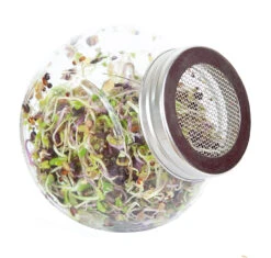 Sprossenglas (425 Ml) | Anzuchtschalen Von FLORTUS -Mohnsams Geschaft 547671 Sprossenglas 2000 0407 2