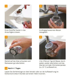 Sprossenglas (425 Ml) | Anzuchtschalen Von FLORTUS -Mohnsams Geschaft 547671 Sprossenglas 2000 0407 3