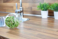 Sprossenglas (425 Ml) | Anzuchtschalen Von FLORTUS -Mohnsams Geschaft 547671 Sprossenglas 2000 0407 4