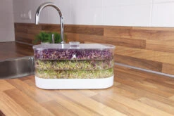 Sprossenturm | Keimgerät Von FLORTUS 17 Sprossenturm | Keimgerät Von FLORTUS -Mohnsams Geschaft 547673 FLORTUS Sprossenturm 2000 0409 4