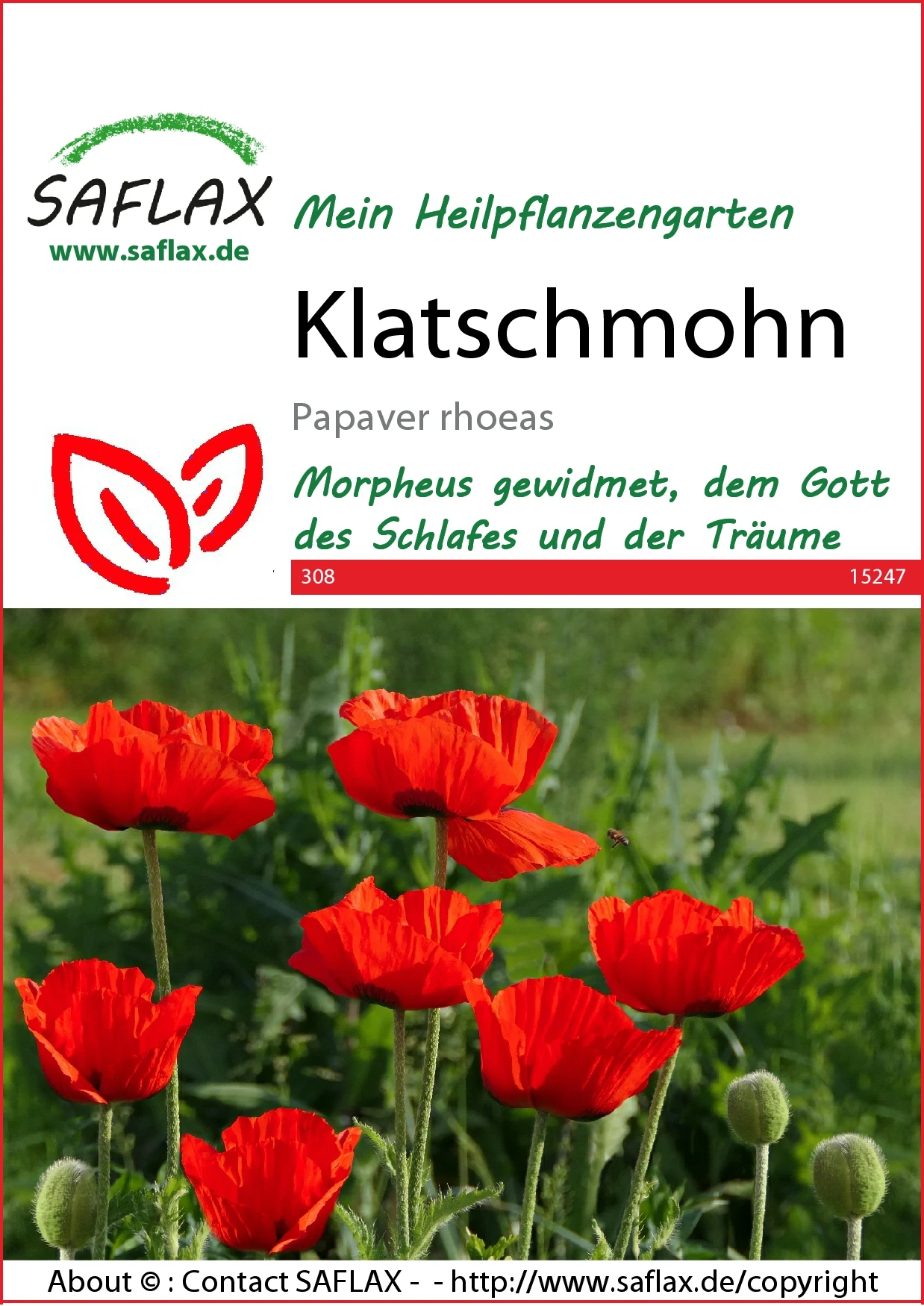 Klatschmohn | Mohnsamen Von Saflax 3 Klatschmohn | Mohnsamen Von Saflax
