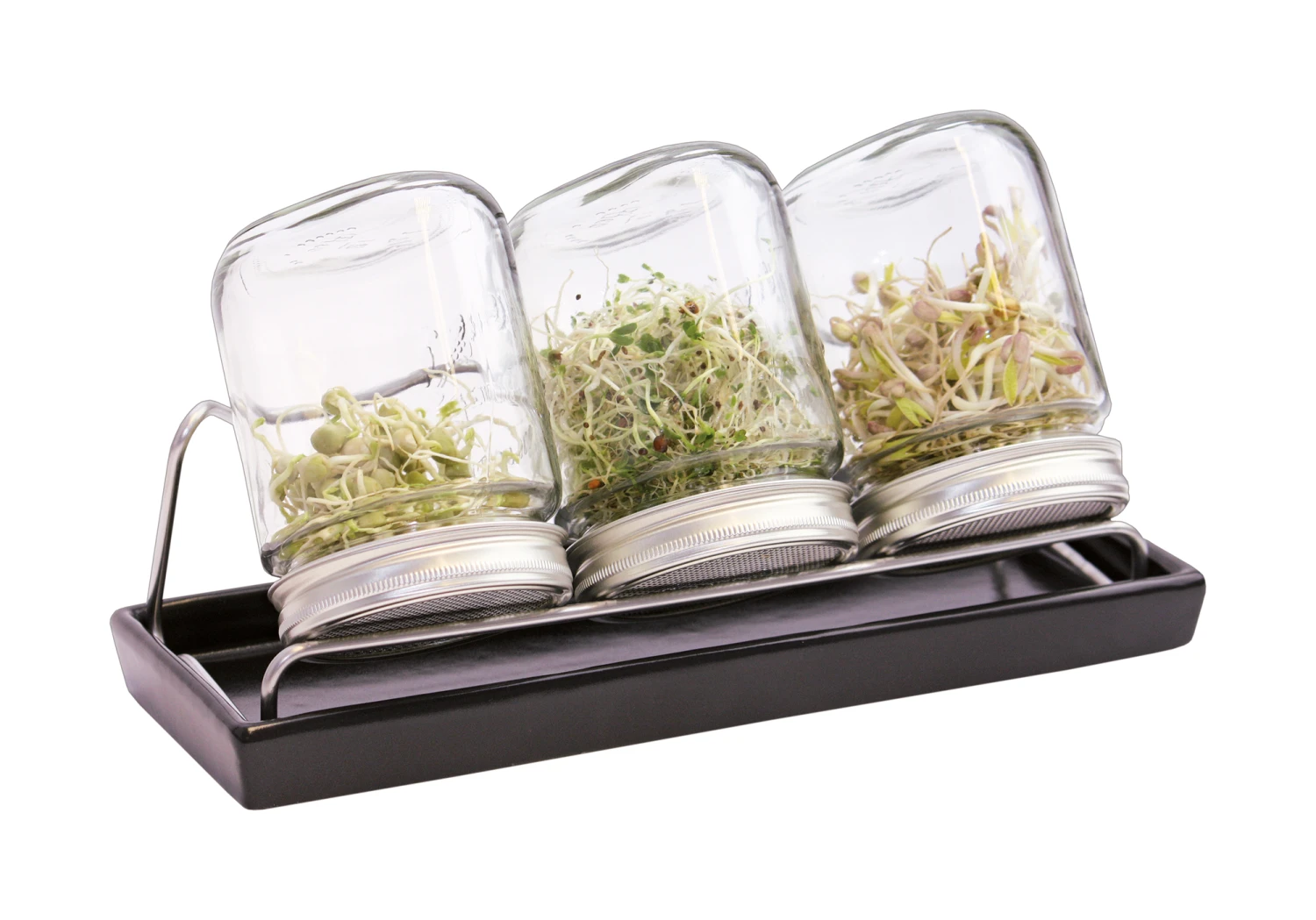 Sprossenglas-System III Anthrazit (750 Ml) | Sprossengläser Von Eschenfelder 3 Sprossenglas-System III Anthrazit (750 Ml) | Sprossengläser Von Eschenfelder