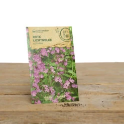 Wildblumen Set Stay Wild | BIO Wildblumensamen Von Samen Maier 11 Wildblumen Set Stay Wild | BIO Wildblumensamen Von Samen Maier -Mohnsams Geschaft 549603 BIO Wildblumen Set Stay Wild A02 sm 1