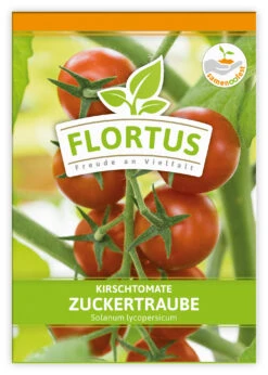 Kirschtomate Zuckertraube (100 Stück) | Kirschtomatensamen Von FLORTUS 7 Kirschtomate Zuckertraube (100 Stück) | Kirschtomatensamen Von FLORTUS -Mohnsams Geschaft 549864 Kirschtomate Zuckertraube 100 Stueck 2000 0481 100x 1