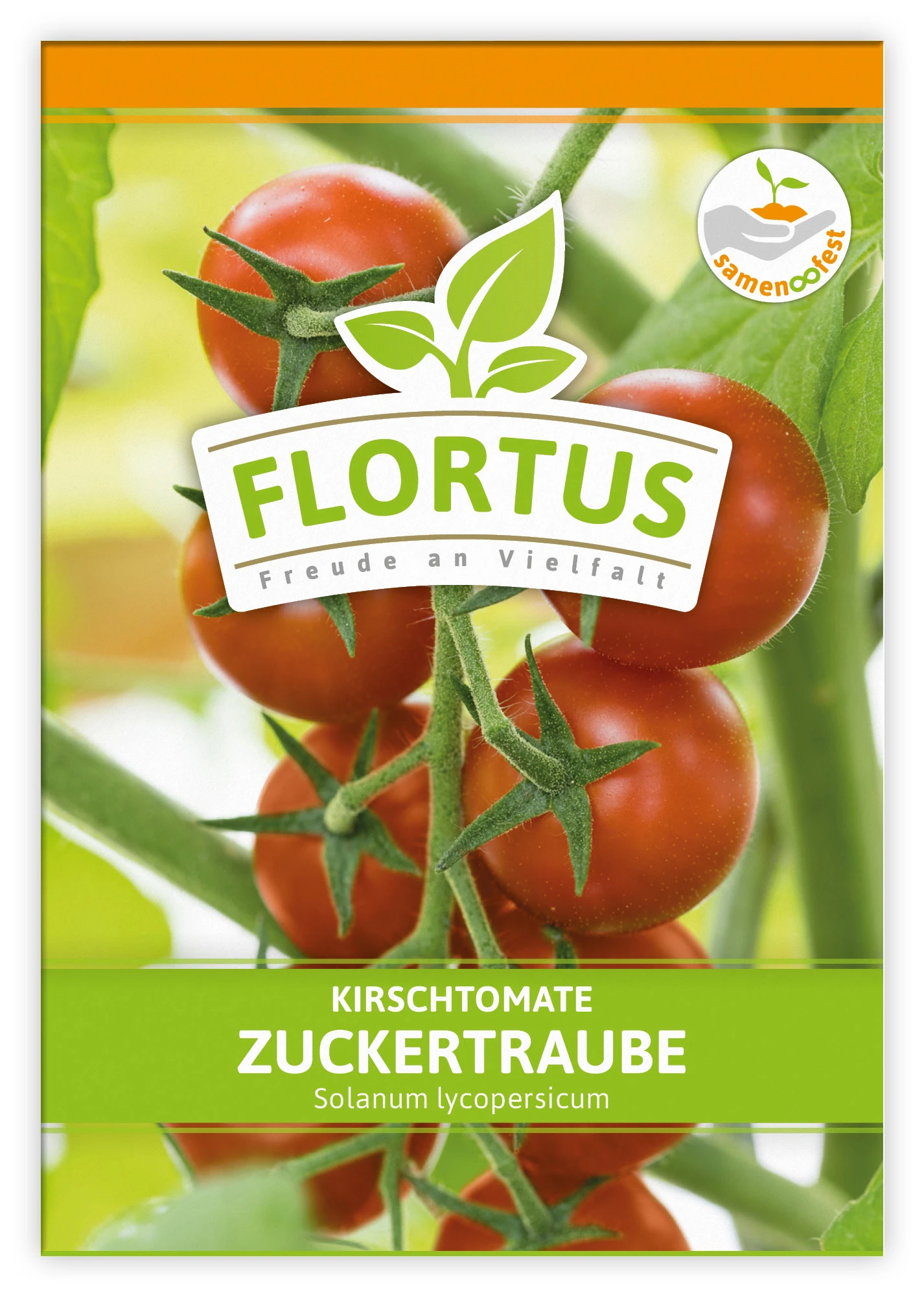 Kirschtomate Zuckertraube (100 Stück) | Kirschtomatensamen Von FLORTUS 5 Kirschtomate Zuckertraube (100 Stück) | Kirschtomatensamen Von FLORTUS – Bild 3