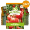 Tomate Moneymaker (100 Stück) | Tomatensamen Von FLORTUS -Mohnsams Geschaft 549868 Tomate Moneymaker 100 Stueck 2000 0485 100x 0