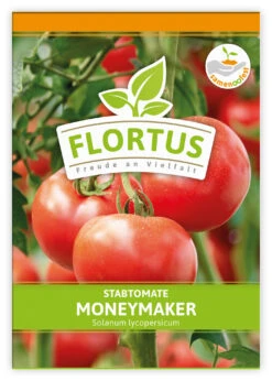Tomate Moneymaker (100 Stück) | Tomatensamen Von FLORTUS -Mohnsams Geschaft 549868 Tomate Moneymaker 100 Stueck 2000 0485 100x 1