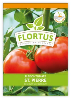 Fleischtomate St. Pierre (100 Stück) | Fleischtomatensamen Von FLORTUS -Mohnsams Geschaft 549879 Fleischtomate St Pierre 100 Stueck 2000 0496 100x 1
