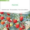 Datteltomate Pulcina | BIO Stabtomatensamen Von Sativa Rheinau -Mohnsams Geschaft 551672 BIO Datteltomate Pulcina to06 sr 0