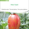 Datteltomate Pink Tiger | BIO Stabtomatensamen Von Sativa Rheinau -Mohnsams Geschaft 551674 BIO Datteltomate Pink Tiger to94 sr 0