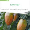 Datteltomate Lucky Tiger | BIO Stabtomatensamen Von Sativa Rheinau -Mohnsams Geschaft 551676 BIO Datteltomate Lucky Tiger to97 sr 0