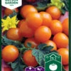 Kirschtomate Sungold F1 | Kirschtomatensamen Von Nelson Garden -Mohnsams Geschaft 552227 Kirschtomate Sungold F1 91706 ng 0